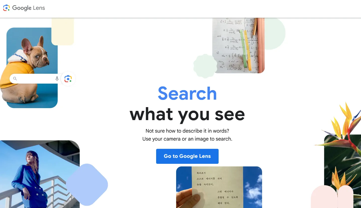 Interface Google Lens montrant un chien, des équations, une femme et des fleurs exotiques.