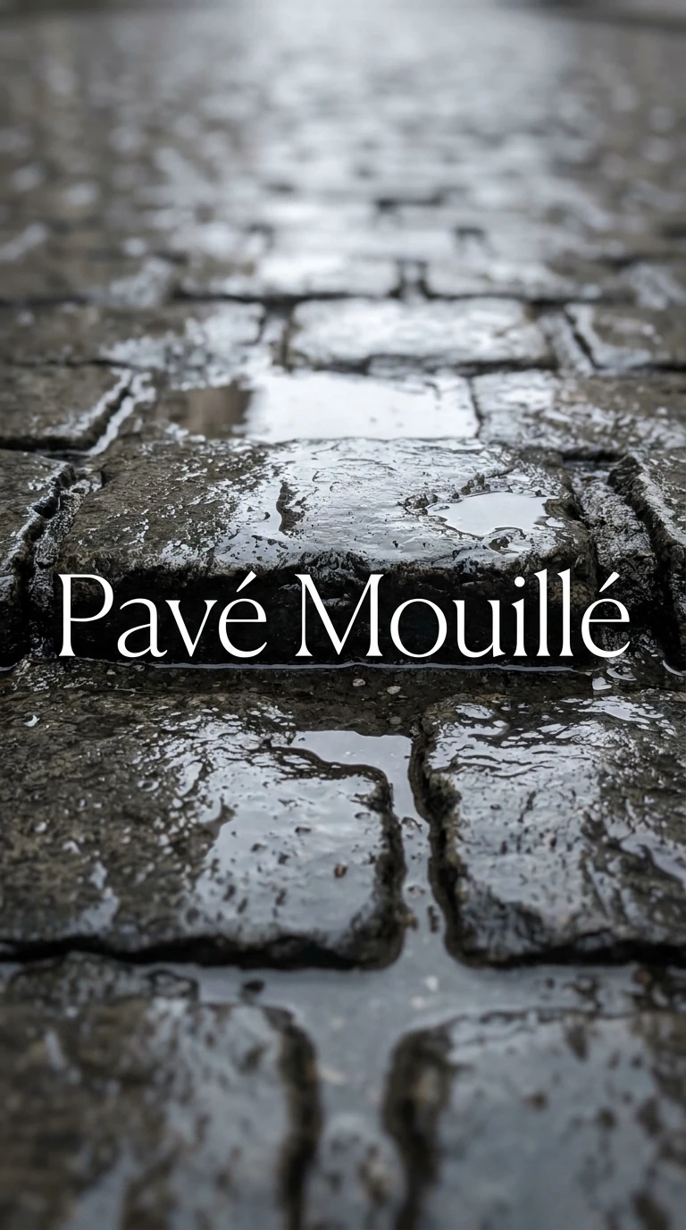 Le pavé mouillé après la pluie